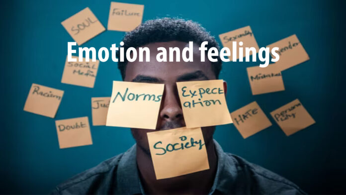 Emotions and Feelings