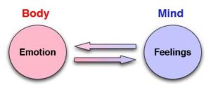 Types of Emotions and Feelings
