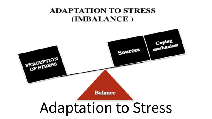 Adaptation to Stress