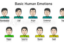 Basic Human Emotions Basic Human Emotions