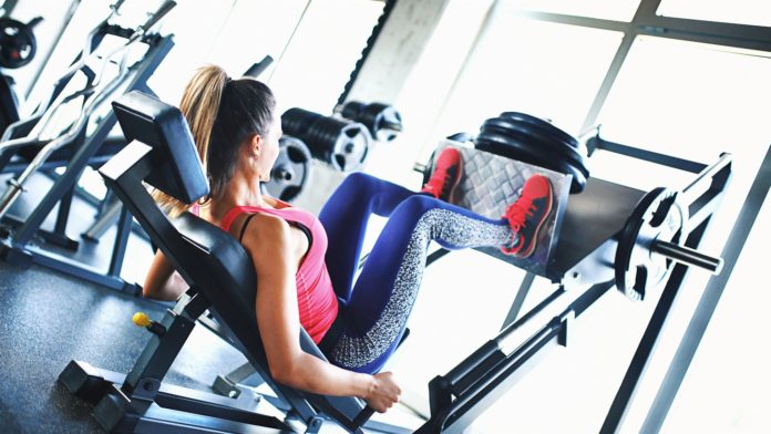 Best Gym Equipment for Building Abs and Legs