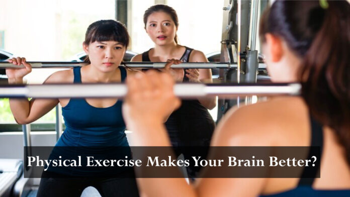 How Physical Exercise Makes Your Brain Better Physical Exercise Makes Your Brain Better