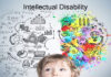 Types of Intellectual Disability types of Intellectual Disability